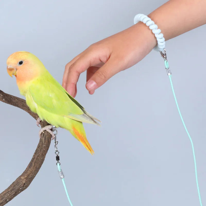 Parrot Bird Flying Training Leashh Rope Anti-flying Foot Chain Outdoor Bird Walking Rope Birds Supplies Training & Behavior Aids