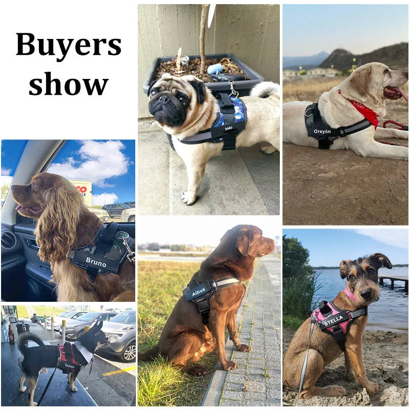 Collars for Dogs Dog Accessories Large Small Harness Customized Collar Choker Puppy Electronic No Pull Breeds Chest Medium Pet