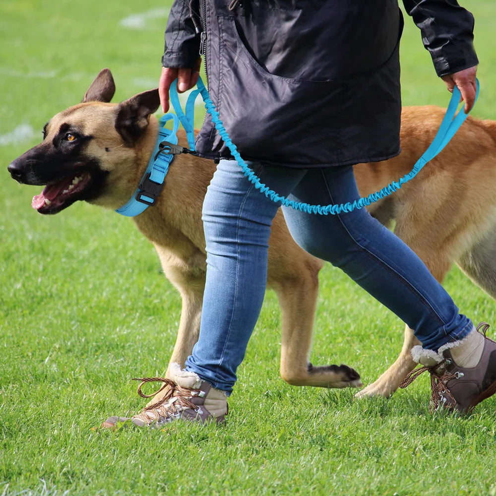 Durable Military Tactical Dog Collar Bungee Leash Set Pet Nylon Walking Training Collar For Medium Large Dogs German Shepard