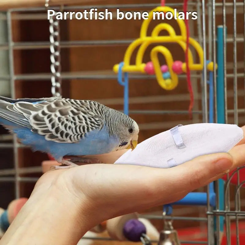 Bird Cuttle Bone Pet Grinding Cuttlefish Bone Natural Cuddle Bone Parrot Chew Toys Chewing Cuttlefish Bone Bird Cuttlebone