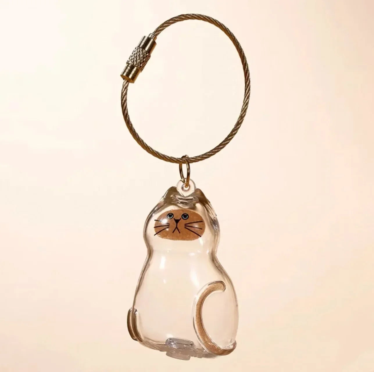 1-40PCS Pet Hair Organiser Memorial Keyring Transparent Cat Hair Organiser Souvenir for Pet Lovers Pet Memorials