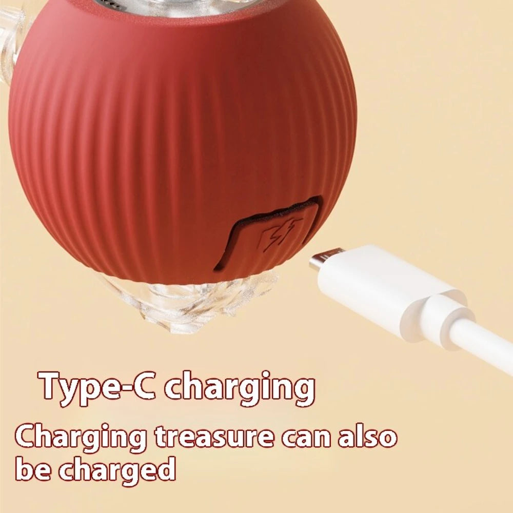 Automatic Rolling Ball with Tail Lamp USB Rechargeable Smart Interactive Cat Ball Toy for Cats Pet Dog accessories 고양이 장난감