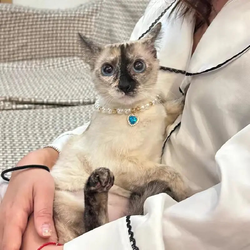 Cat Collar Decoration Pet Cute Exquisite Jewelry Kitten Adjustable Chain Cat Necklace High Simulation Pearls Pet Supplies