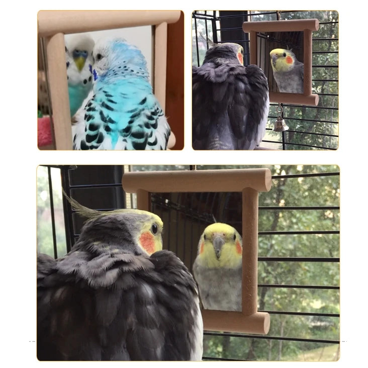 1 Pcs Pet Solid Wood Mirror Parrot Bird Mirror Fun Standing Pine Toy Birds Accessories with Bells Wood Toys Bird Accessories