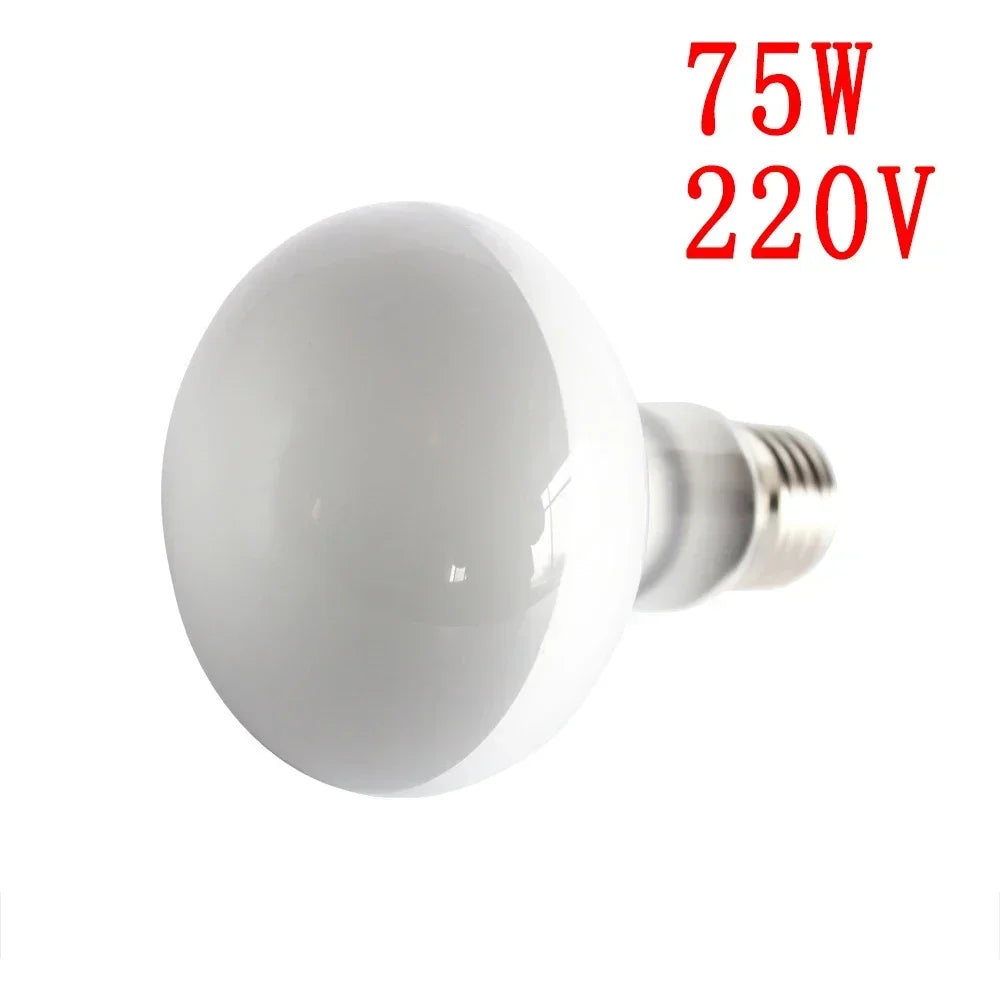 25W-100W E27 Reptile Heating Lamp Bulb UVA Heating Light Lizard Calcium Supplement Lamp Amphibians Terrarium Lighting Supplies