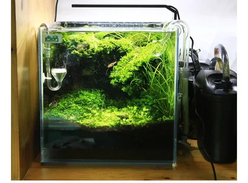 Chihiros C Series ADA Style Plant Grow LED Light Mini Nano Clip Aquarium Water Plant Fish Tank New Arrived!