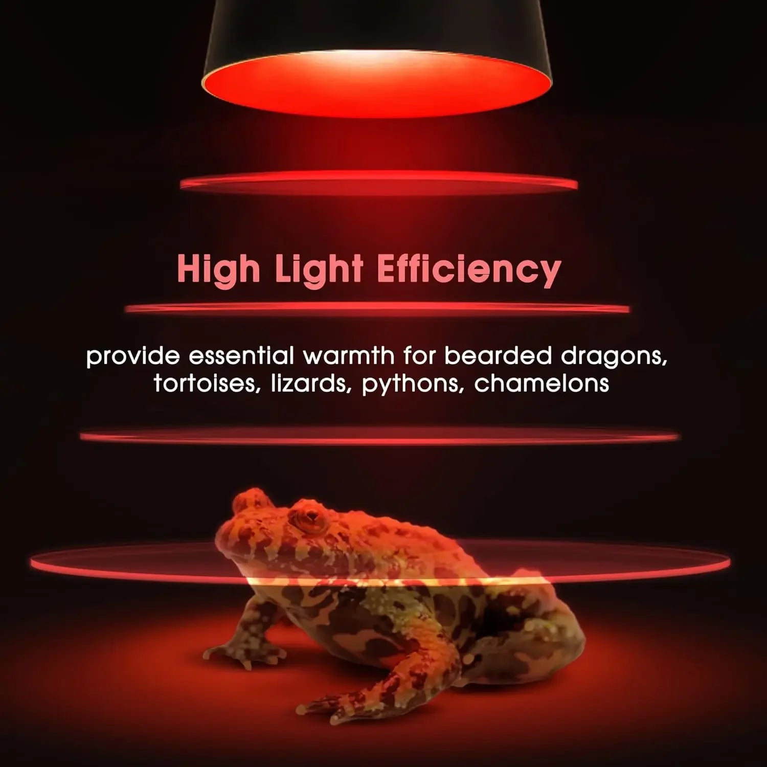 Full Spectrum Heating Lamp Reptiles Heat Preservation Light Turtle Sunbathing Lamps Amphibian Breeding Box Accessories Uva+Uvb