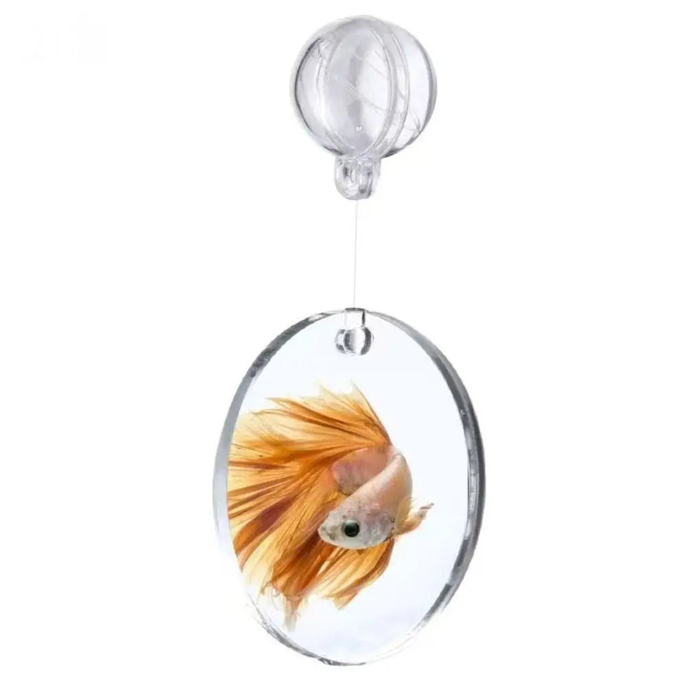 Water Plant Landscape Betta Training Mirror Fish Tank Ornament 4/5/6CM Fish Exercise Mirror Acrylic Double-sided