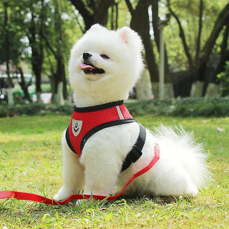 Cat Small Dog Breathable Mesh Harness And Leash Kitten Cats Harnesses Little Dog Puppy Harness For French Bulldog Chihuahua Pug