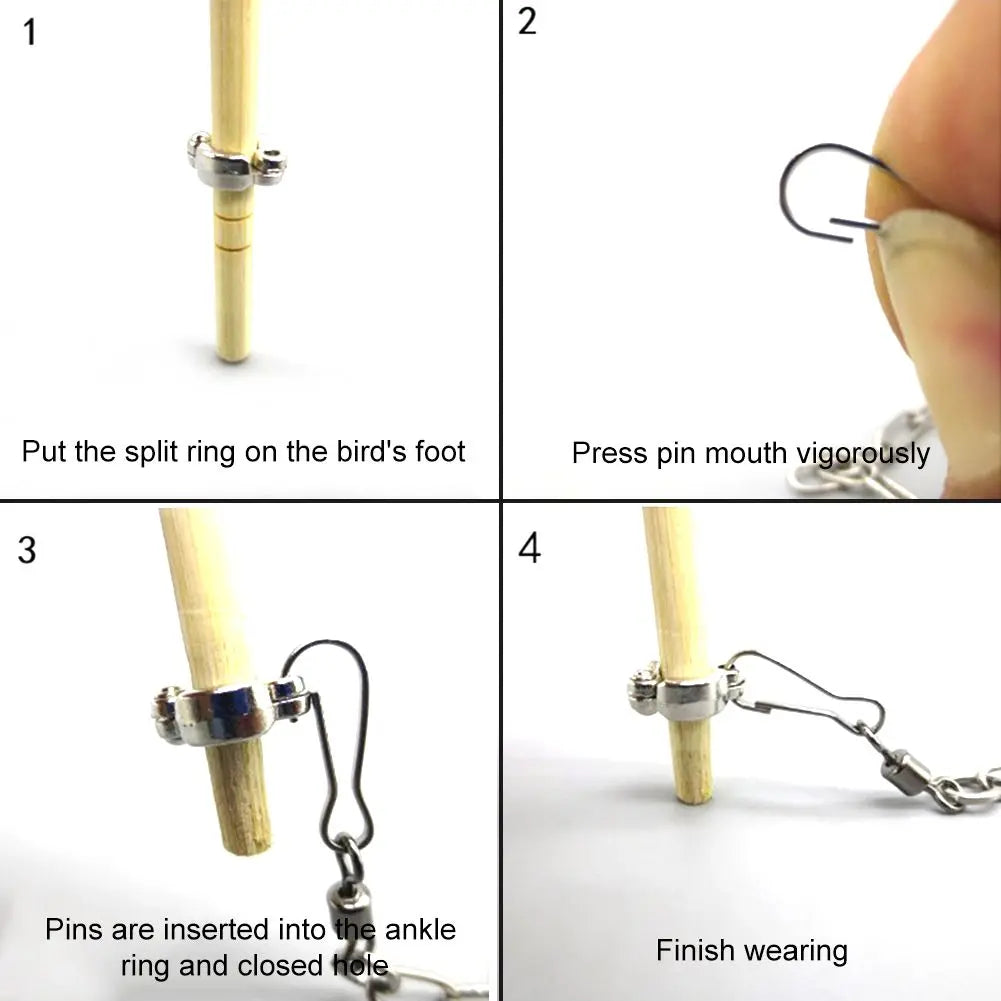 Bird Parrot Foot Chain Stainless Steel Ankle Foot Ring Stand Chain Outdoor Flying Training Bird Accessories 4 Size