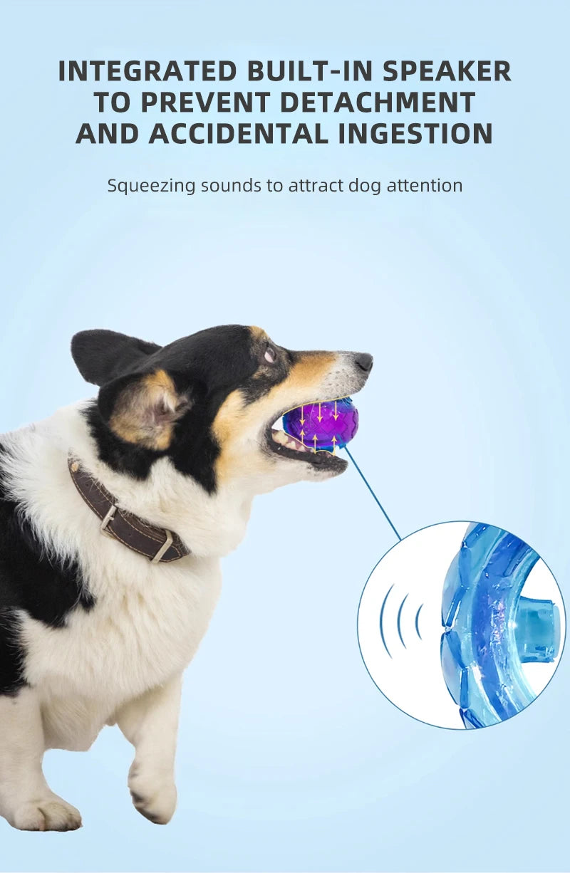 GiGwi Pet Dog Puppy Squeaky Chew Toys Sound Pure Natural Non-toxic Rubber Outdoor Play Small Large Dogs Funny Ball for Dogs