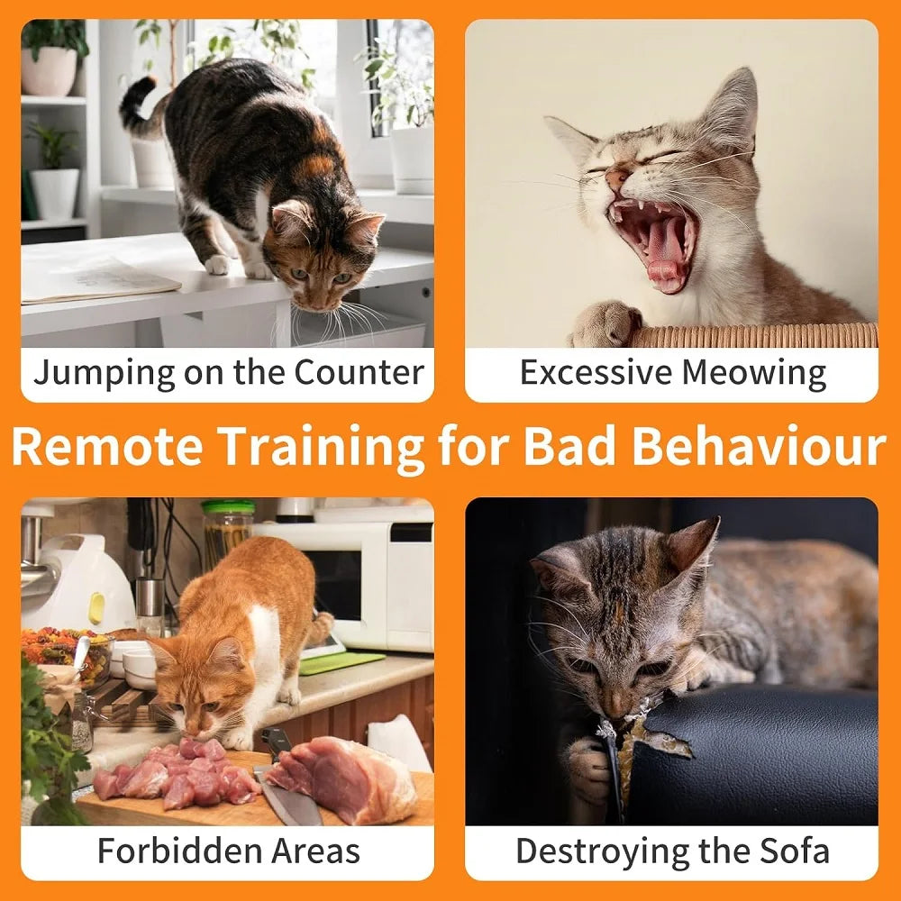 PaiPaitek Cat Shock Collar with Remote,Cat Training Collar with Auto Anti-Meow,Beep,Vibration,Safety Shock 4 Modes,Rechargeable