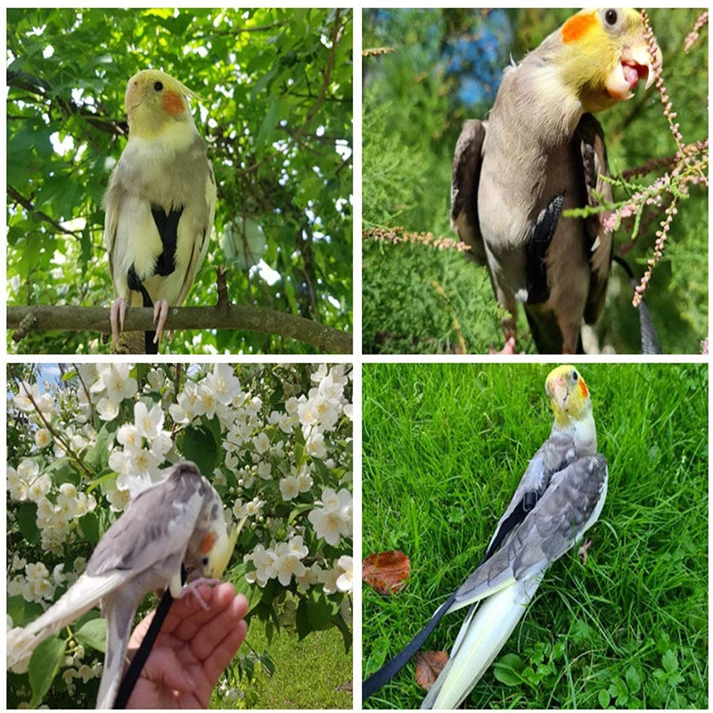Parrot Bird Harness Leash Outdoor Activities Flying Traction Straps Band Flying Rope For Small Parakeets Cockatiels Bird
