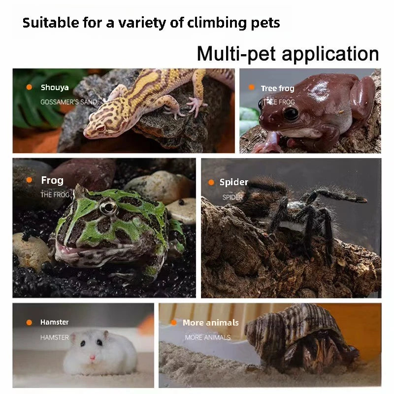 Pet Reptile Thermostat High-precision Temperature Switch Microcomputer Digital Display Hatching Controller 0.1 Degrees