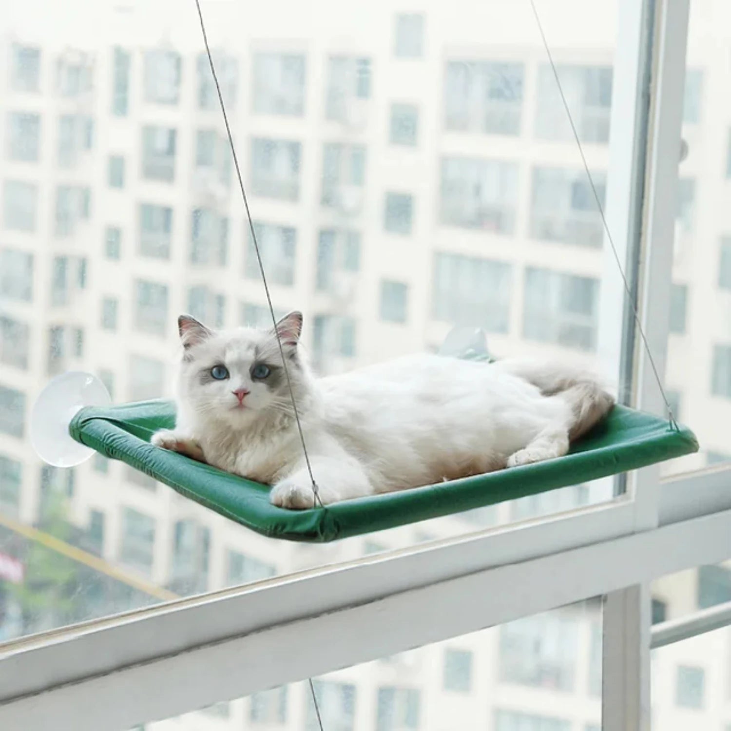 Hanging Cat Bed Pet Cat Window Shelf Net Cat Hammock Suction Cup Cat House Perches Cave Cat Nest Cat Supplies Cat Accessories