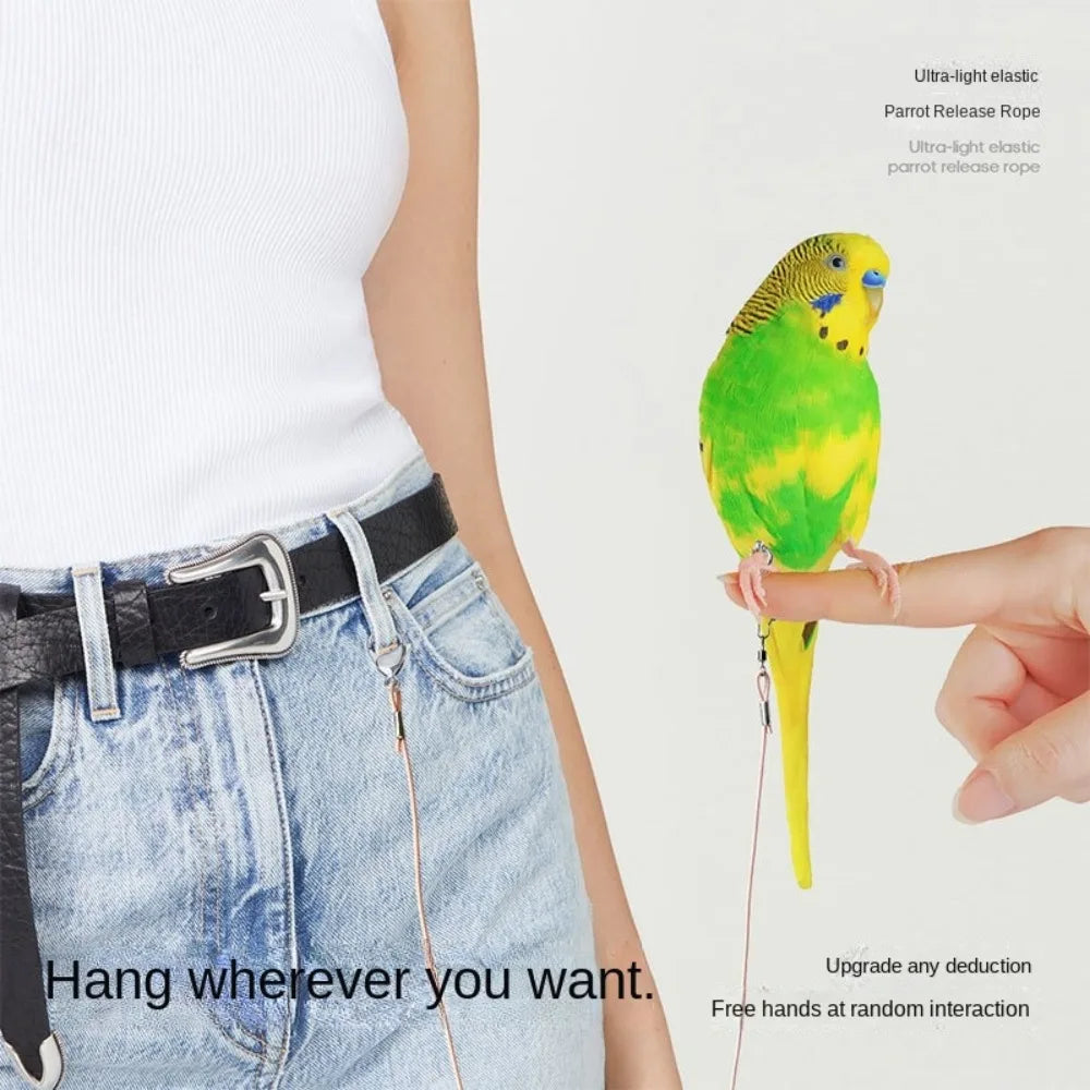 Elastic Parrot Traction Rope Metal Buckle Anti-flying Parrots Training Leash Lightweight Multiple Size Bird Foot Chain for Birds