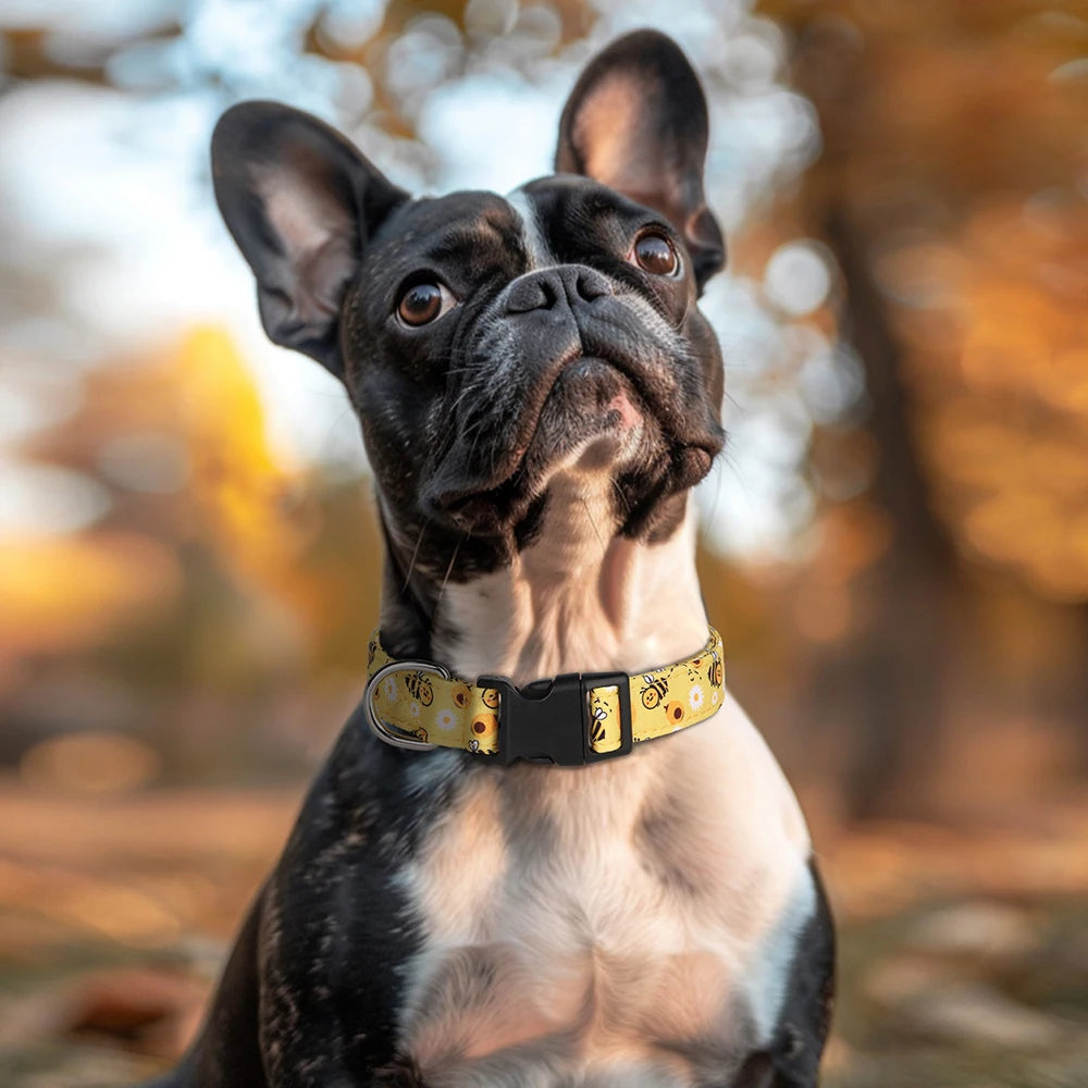 Nylon Dog Collar Cute Printed Dog Collars Spring Summer Pet Puppy Necklace Adjustable For Small Medium Large Dogs Chihuahua Pug
