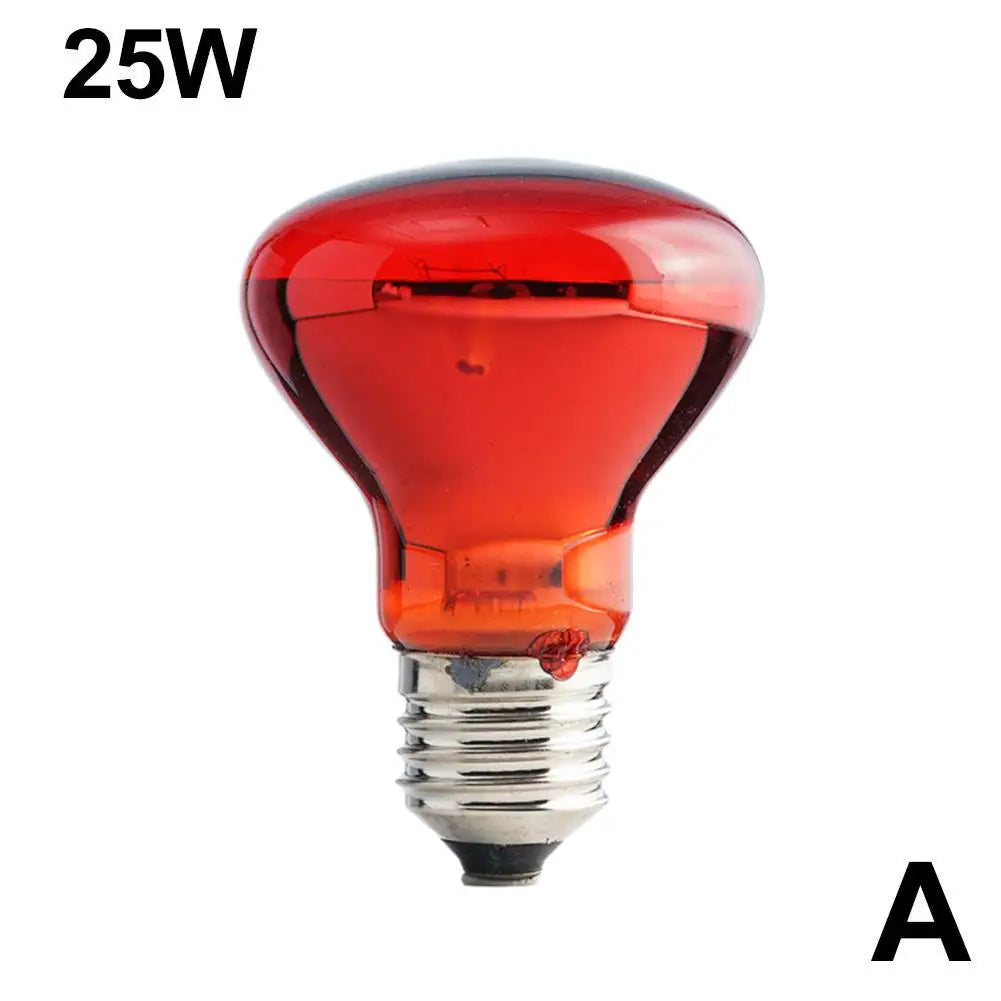 Amphibian Reptile Heating Lamp E27 Poultry Heating Bulb Pet Turtle Terrarium Snake Bulb Light 25W-100W 220-240V