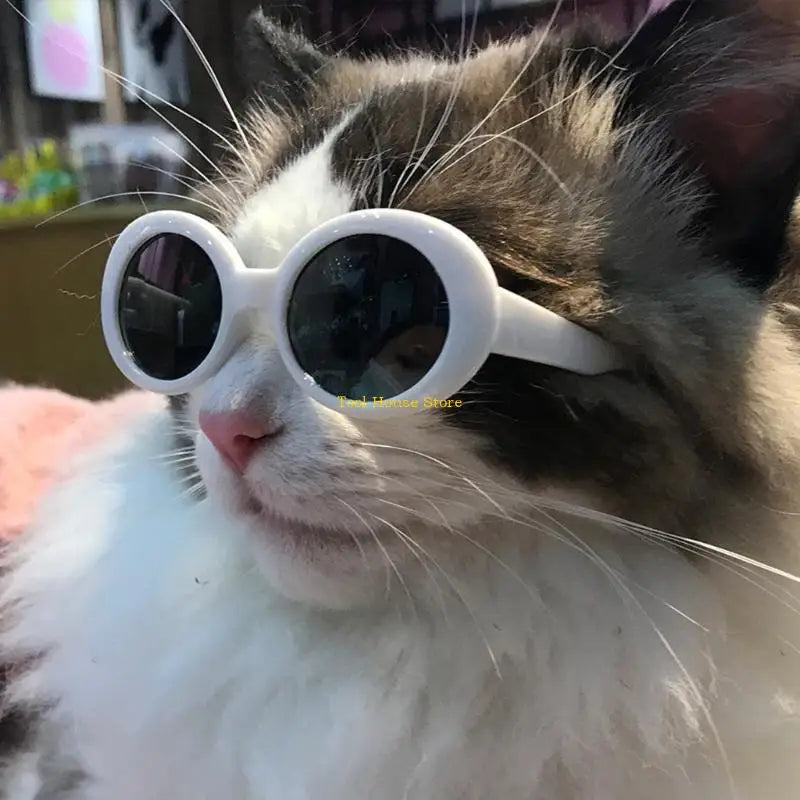 Sunglasses Pet Sunglass Small Dogs Glasses Classical Retro Circular Eyewear Photos Prop Costume Accessoy Cosplays