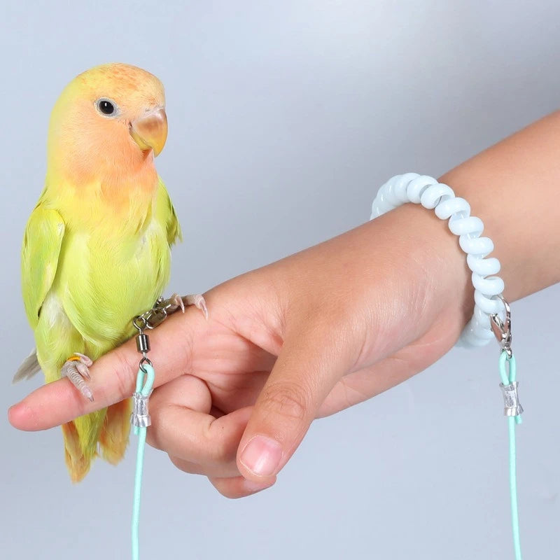 Parrot Bird Flying Training Leashh Rope Anti-flying Foot Chain Outdoor Bird Walking Rope Birds Supplies Training & Behavior Aids