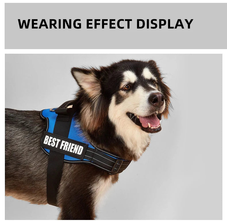 Cute Pet Harness Collar For Puppy And Kitten Small Dog Reflective Vest Harness Outdoor Walking Anti-loss Corgi Labrador Chihuahu