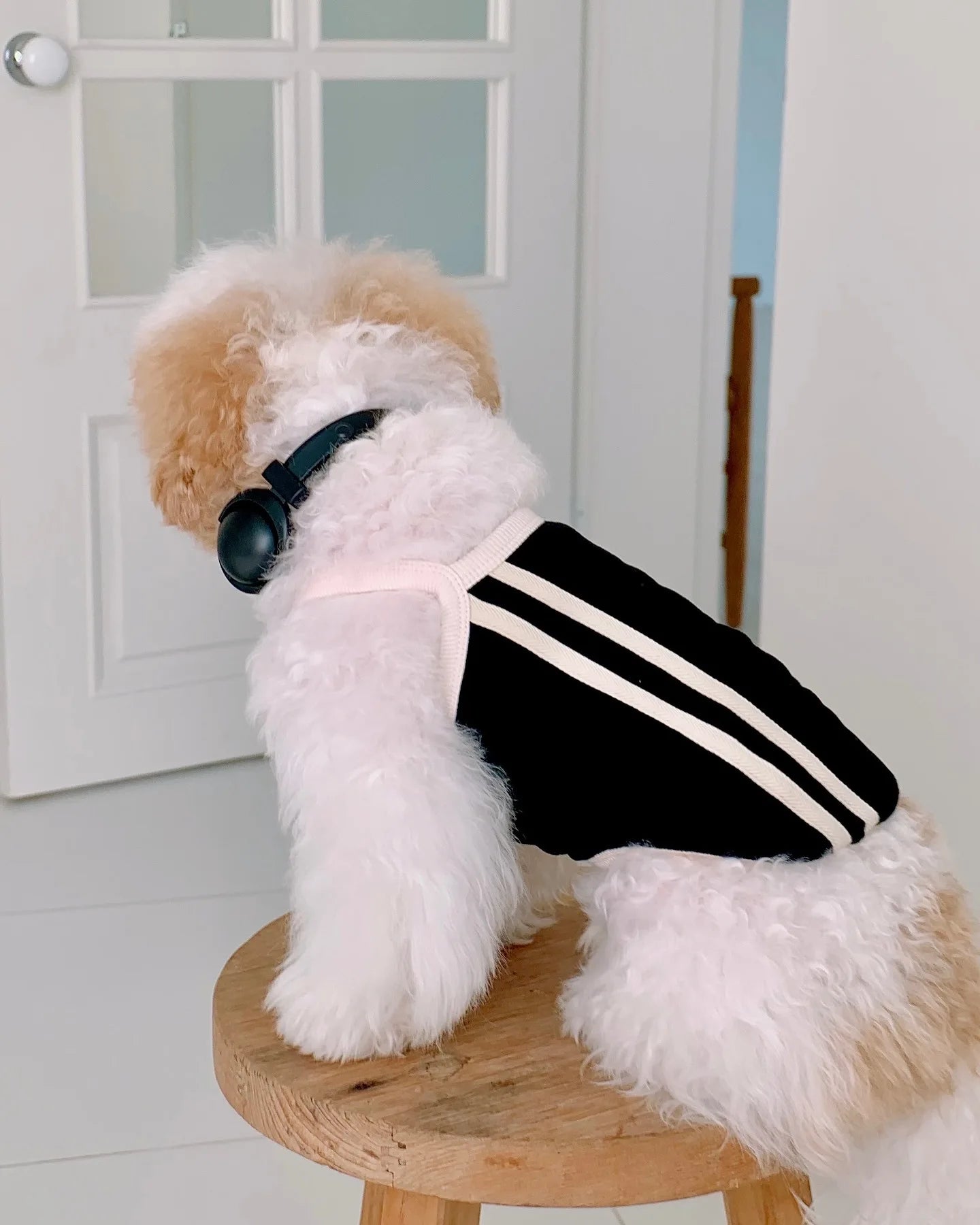 Pet Spring/Summer Dog Sports Tank Top Strap Cool Sunscreen Tank Top Teddy Cat Summer Dress Puppy Clothes