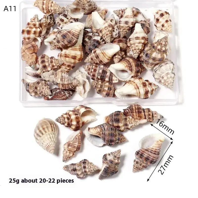 1 Box Sea Shells Spiral Shell Tiny Ocean Spiral Seashells Crafts Aquarium Decor Landscaping Accessories