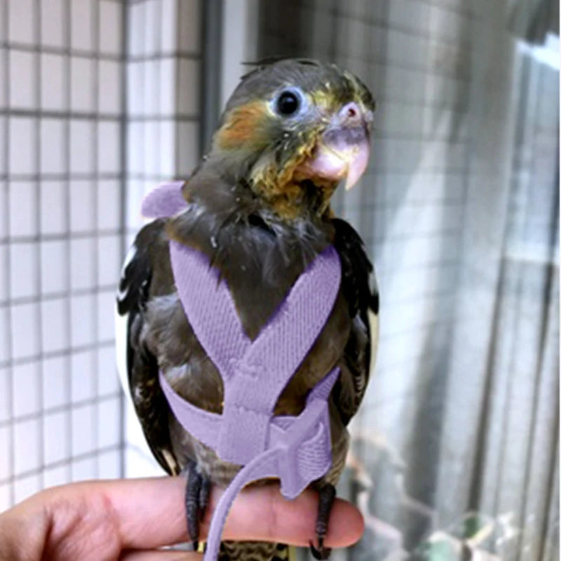 Adjustable Parrot Bird Harness Leash Set Anti-bite Training Harness Parrots Outdoor Flying Rope Cockatiel Small Birds Supplies