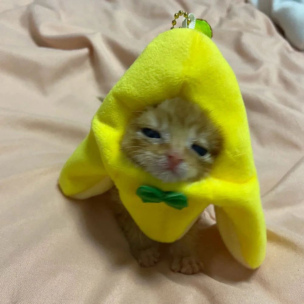 Banana Cat meme Mini Headset Cute Cat Prop Hat Banana Cat Kitten Pet Bowknot Clothing Cute Accessories