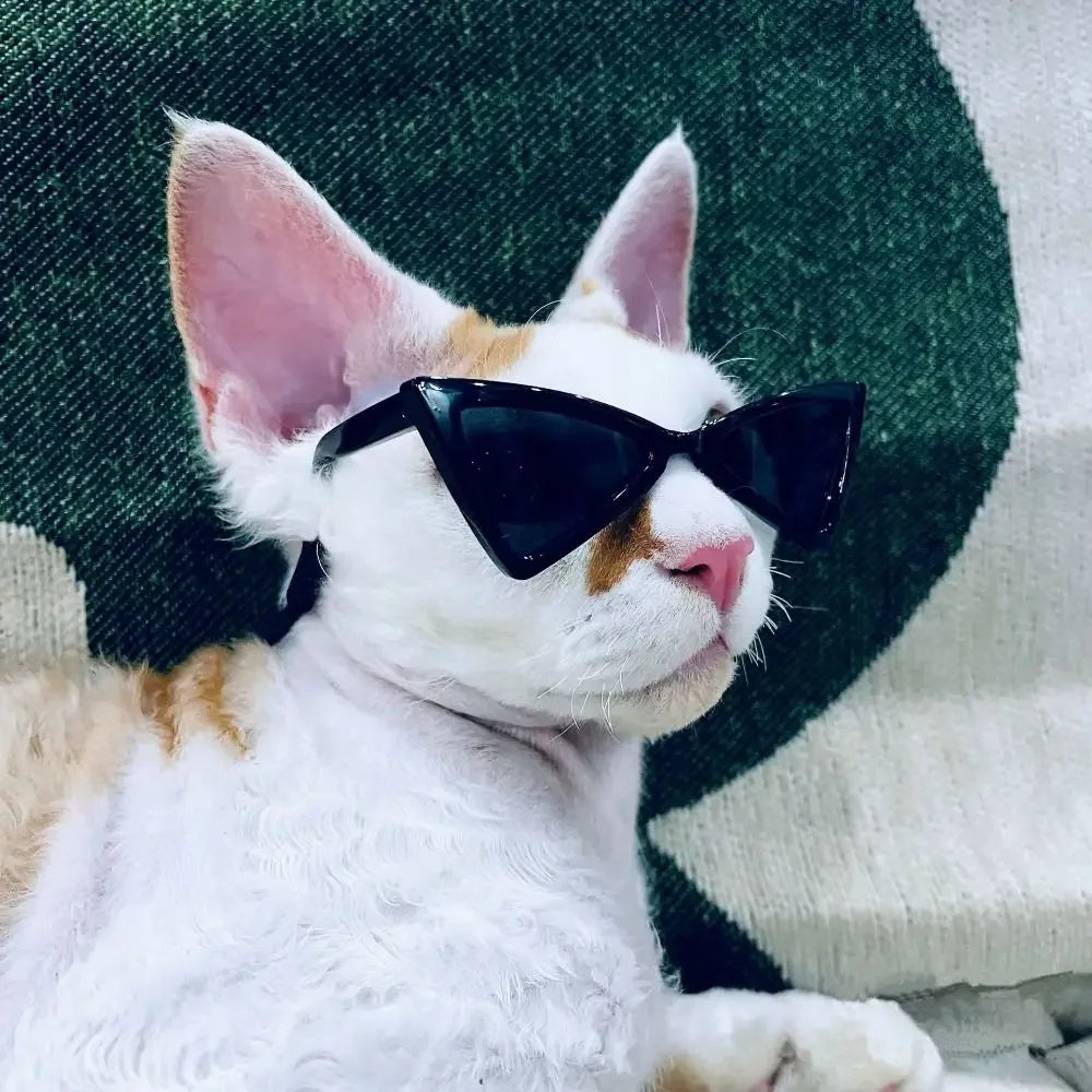 Vintage Triangular Pet Cat Sunglasses Pet Products for Small Dogs Kitten Puppy Cat Accessories Reflection Eyewear Glasses