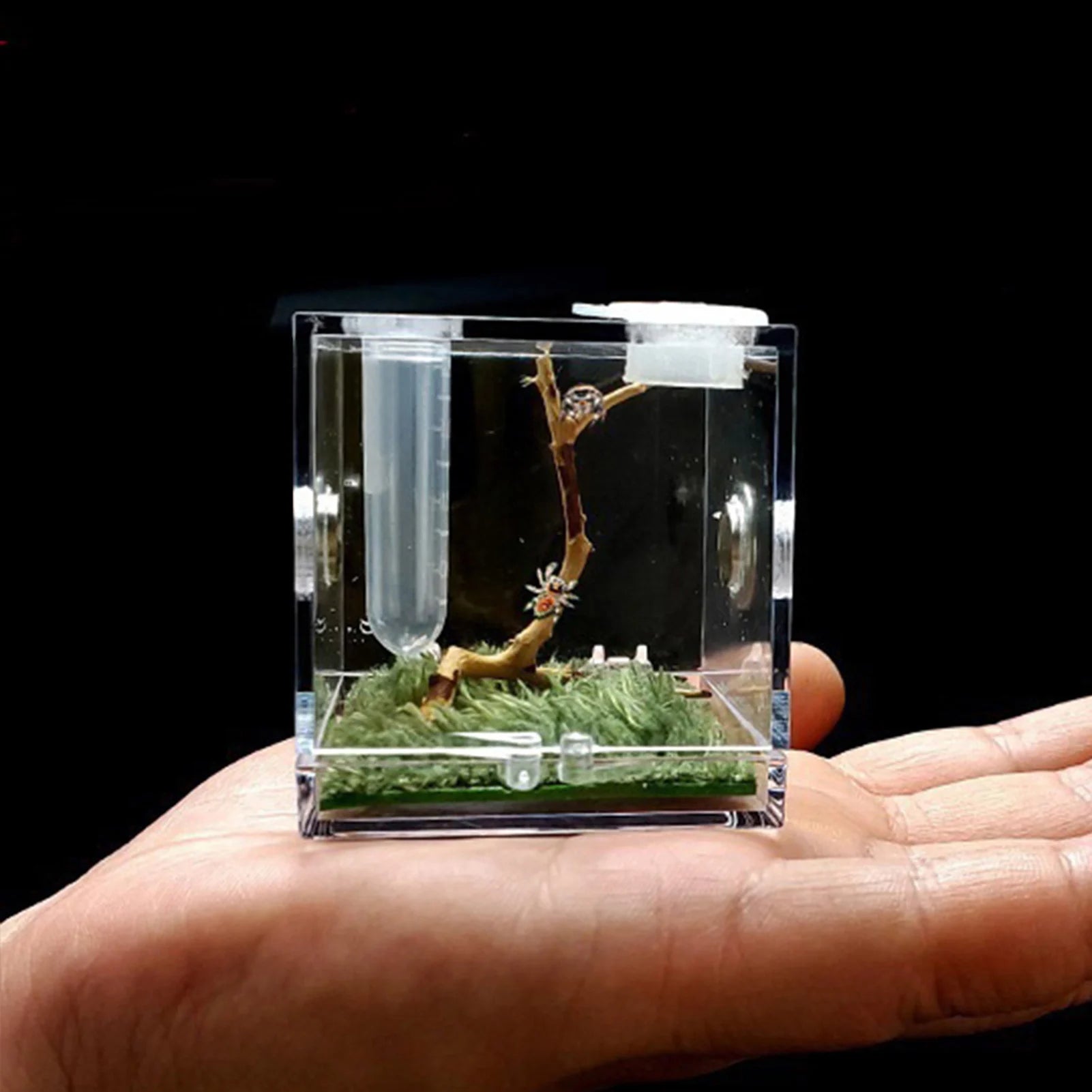 Reptiles Breeding Box Terrarium Plastic Reptile Breeding Box Terrarium Cage Insect Viewing Box For Spider Cricket Snail Beetl