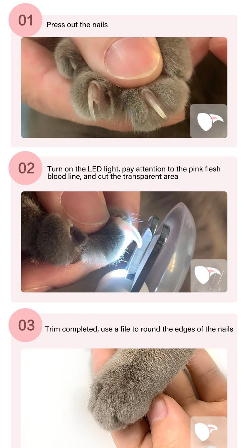 Professional Pet Nail Clipper Scissors With LED Light Cat Dog Nail Clippers Tool Scissors Nail Toeclaw Cutter Scissor Pet Supply