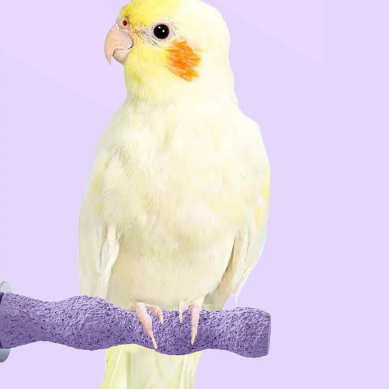 Bird Resin standing paw grinding sticks Nail Trimming Perch Paw Grinding Stick Bird Toys Parrot Grinder Parrot perch bird stand