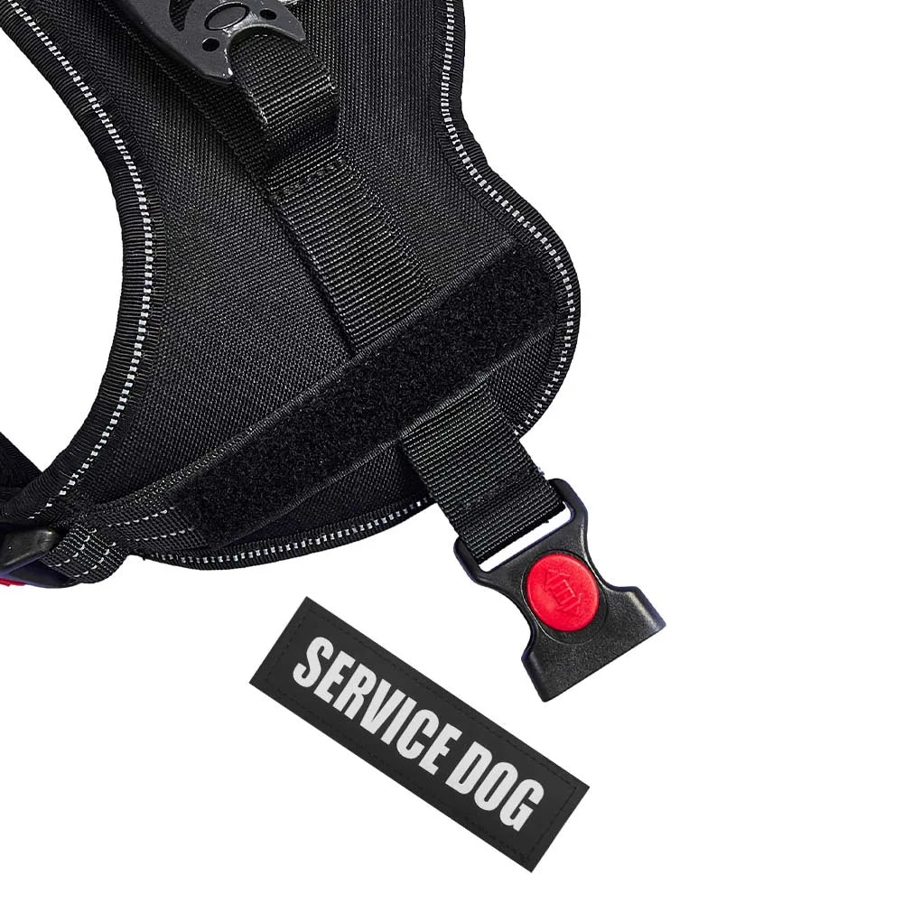 Cute Pet Harness Collar For Puppy And Kitten Small Dog Reflective Vest Harness Outdoor Walking Anti-loss Corgi Labrador Chihuahu