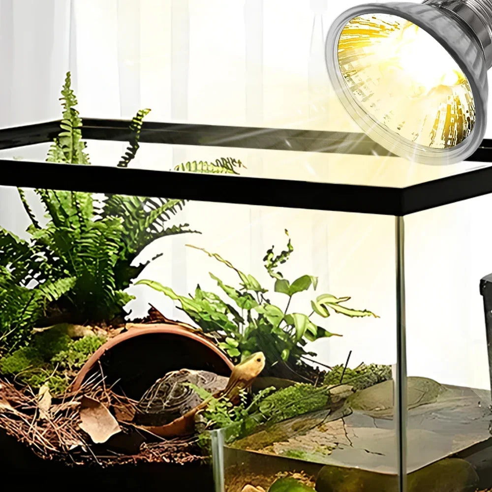 5/1PCS UVB Reptile Heating Lamp Bulb Turtle Basking Promoting Pet Growth Lamp High Quality Sunlamp for Amphibians 25/50/75W