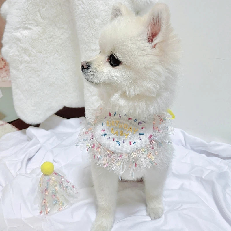 Pet Cat Dog Birthday Party Lace Suit Hat Scarf Dog Bib Saliva Towel Mesh Series Bear Birthday Jewelry Dress Up Accessories