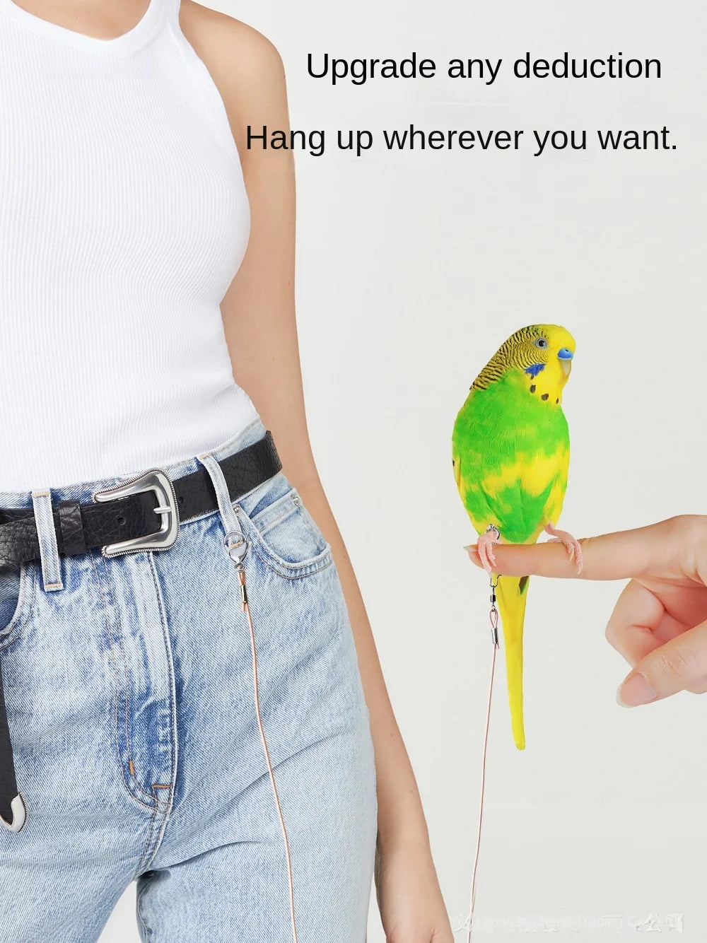 Elastic Parrot Traction Rope Metal Buckle Anti-flying Parrots Training Leash Lightweight Multiple Size Bird Foot Chain for Birds