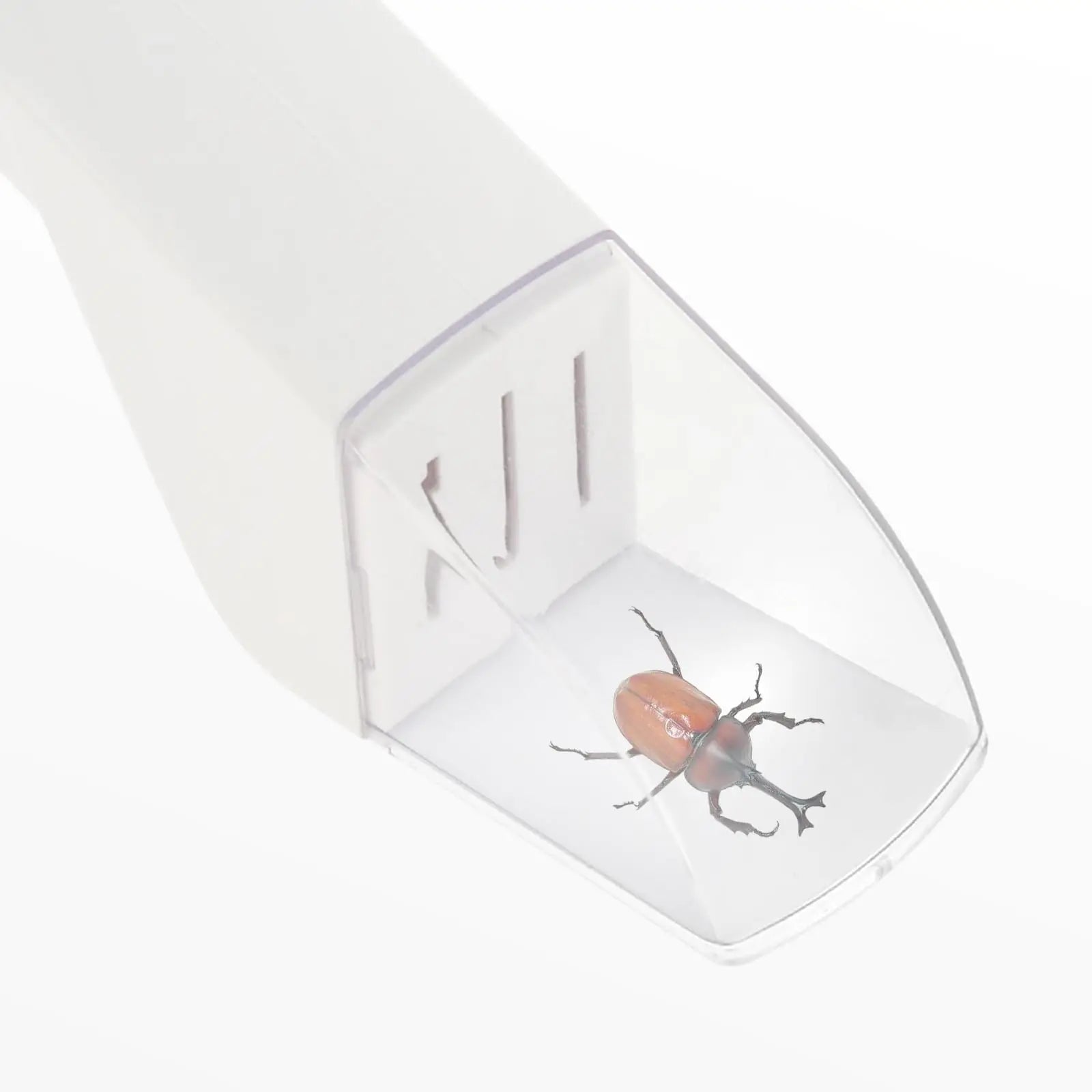 Bug Catcher for Kid Quick Release Insect Catching Tool Humane Insect Observer with Clear Window Nature Exploration Stem Bug Trap