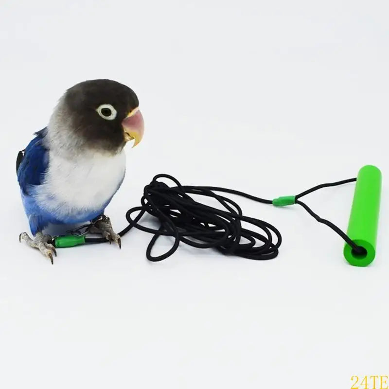 24TE Parrot Anti-bite Flying Training Rope in the Leg Bird Flying Leash 20 Feet