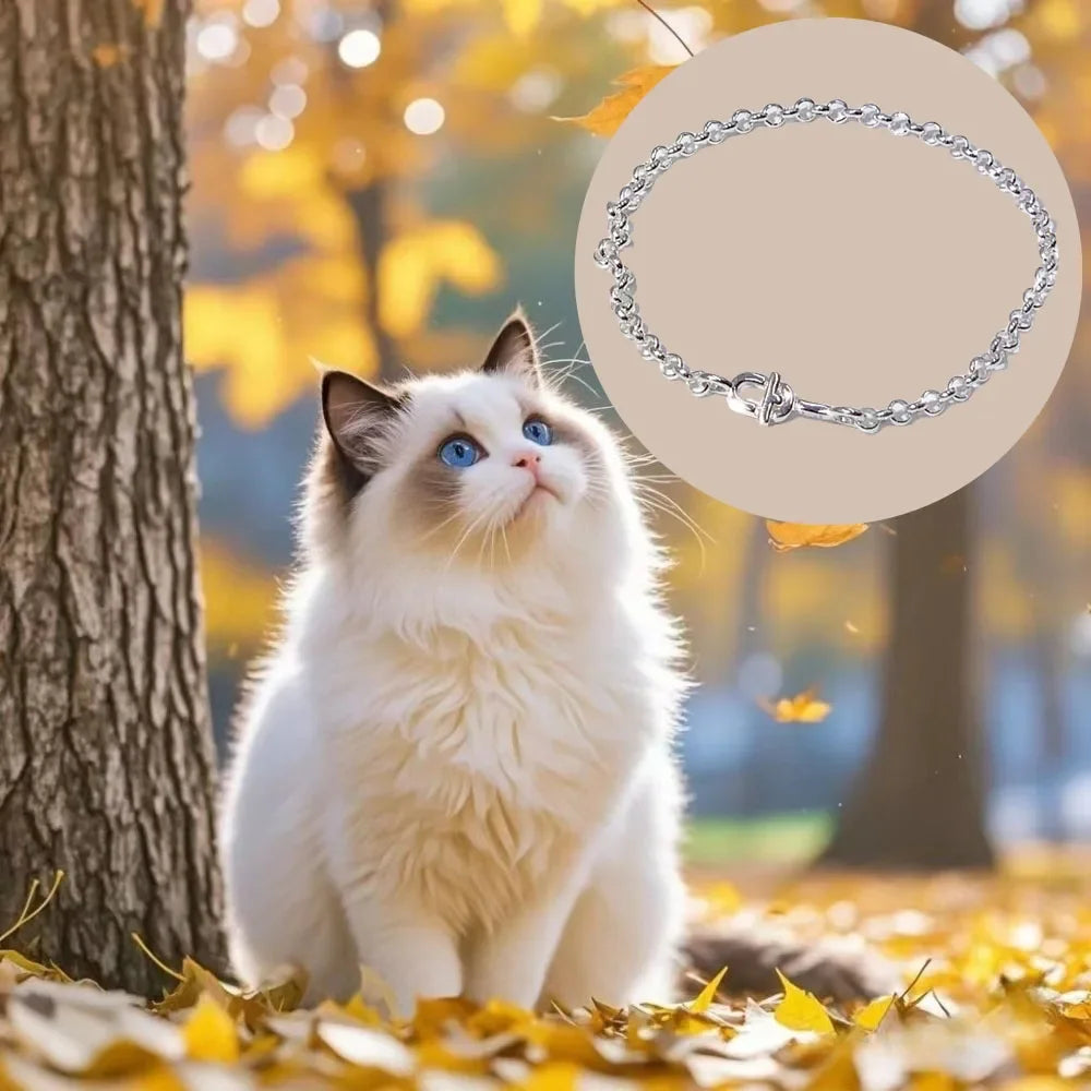 Cat Jewelry Accessories New Style Sweet Bracelet Women's Charm Jewelry Decoration Commemorative Day Gift