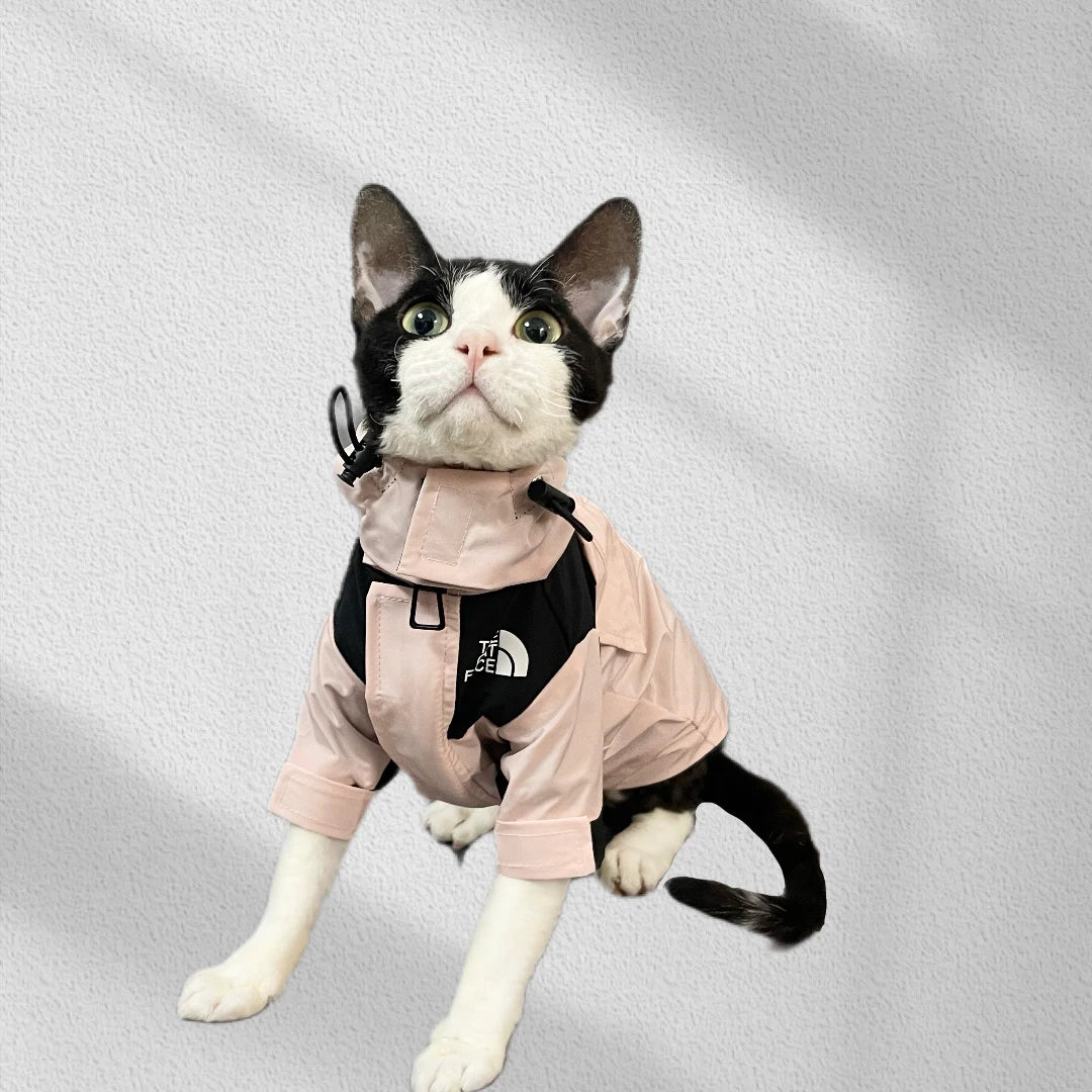 Fashion Cat Face Interchange for Sphynx Cat Coat Long Sleeves for Devon Rex Waterproof Windproof Coat for Kittens Cat Supplier