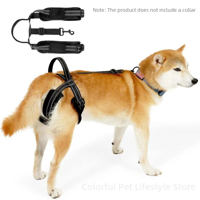Adjustable Dog Lift Harness for Dogs Soft Pet Rear Leg Support for Old Disabled Joint Injuries Dog Back Leg Hold Dog walking aid