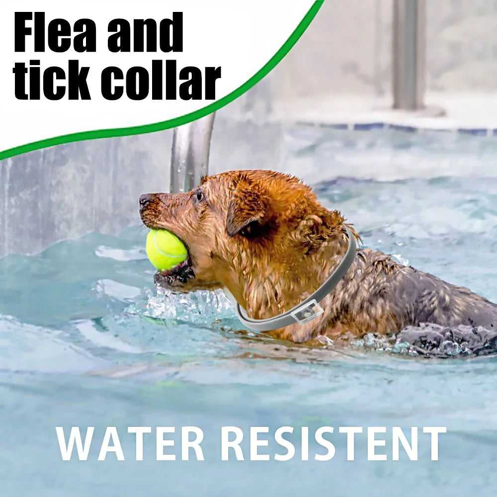 Professional 8 Month Protection Flea & Tick Collar Anti-mosquito Silicone Dog Collar Wear Resistant Universal Pet Supplies Teddy