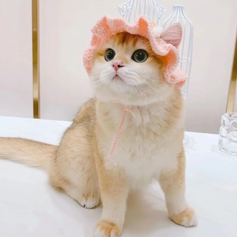 Cross-border selling cat and dog hats hand-knitted hats travel pet cute mini hats