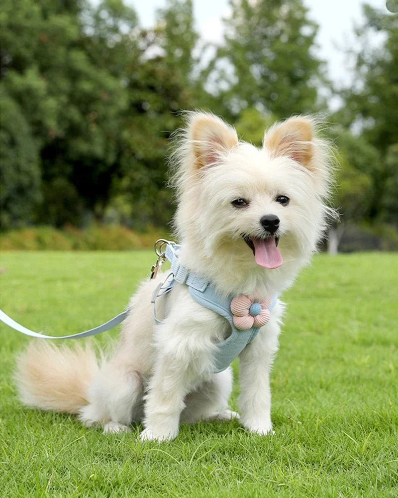 Pet vest traction rope dog cartoon three-dimensional accessories Teddy walking dog rope cat going out chest and back protection