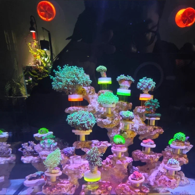 Fluorescence Acrylic Movable SPS Coral Frag Plug Stand Rack Bracket Coral Base Fish Tank Decoration Aquarium Accessories
