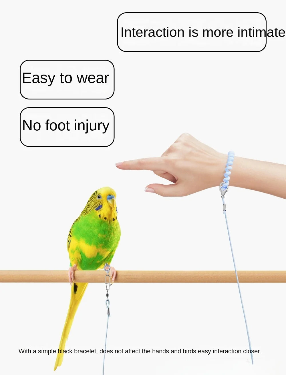 Elastic Parrot Traction Rope Metal Buckle Anti-flying Parrots Training Leash Lightweight Multiple Size Bird Foot Chain for Birds