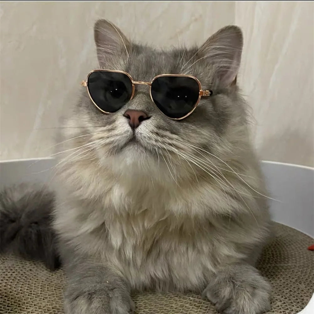 Cool Cat Glasses Pet Accessories for Cats Heart-shaped Transparent Reflective Sunglasses Kitten Sphynx Persian Pet Products