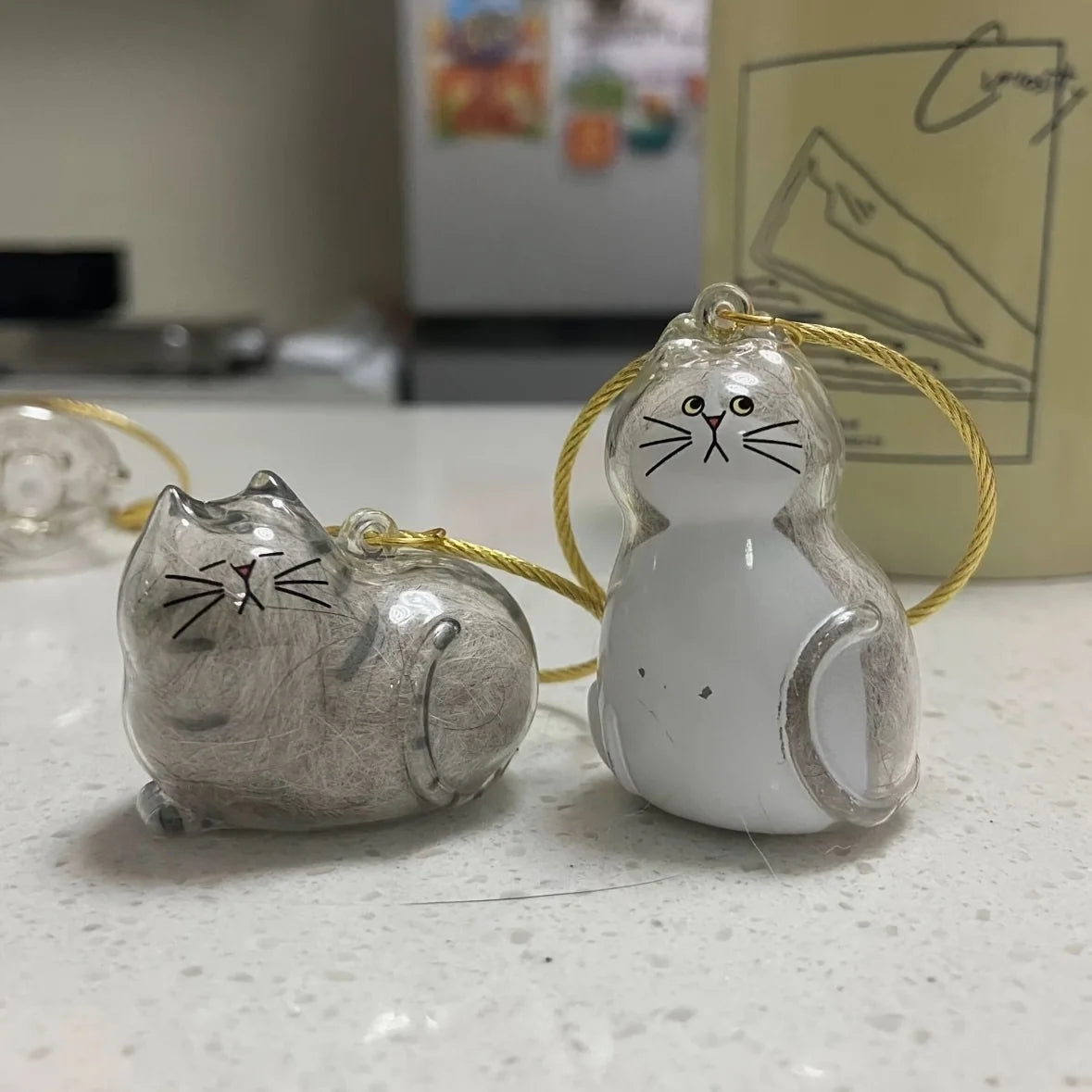 1/3pcs Transparent Cat Memorial Capsules Pet Hair Keepsake Box with Hanging Loop for Cat Lovers Gift Pendant Keychain Pet Access