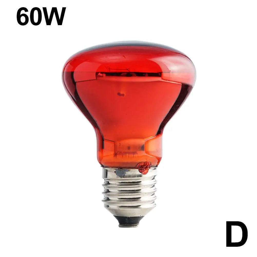 Amphibian Reptile Heating Lamp E27 Poultry Heating Bulb Pet Turtle Terrarium Snake Bulb Light 25W-100W 220-240V